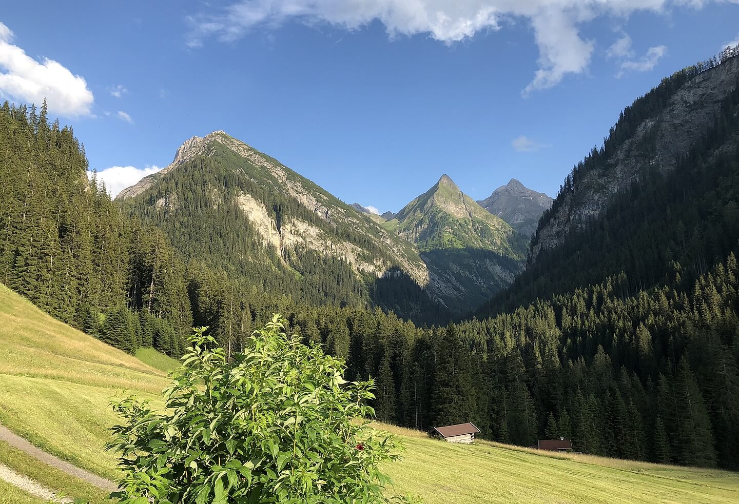 Madau: Panorama Richtung Seekogel